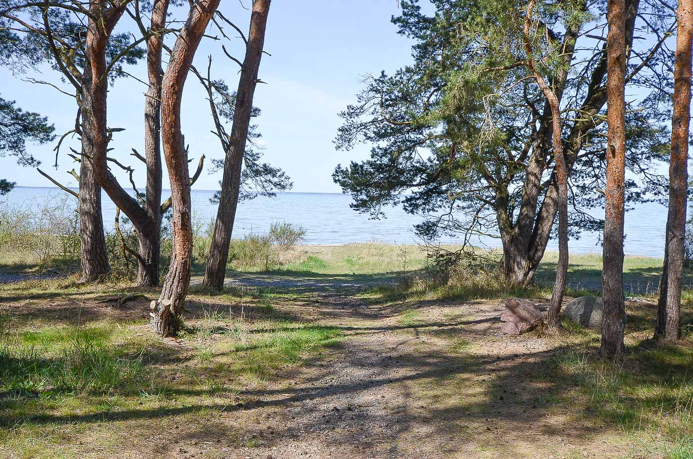 Skogsvägen 56 , Sandbergen
