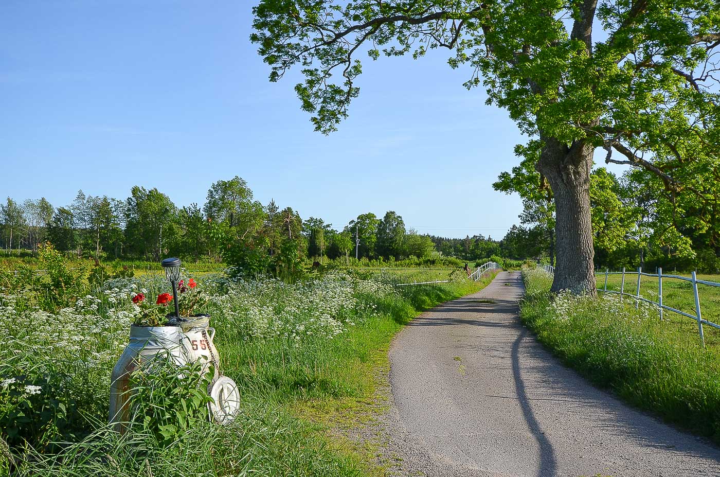 Tomtebyholm 710 , SMEDBY